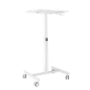 Height Adjustable Companion Cart