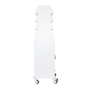 Tall Narrow Suture Medical Cart with Smoked Lockable Door