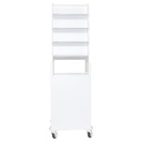 Tall Narrow Suture Medical Cart with Smoked Lockable Door