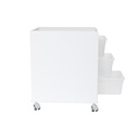 LabFlow Hood Cart with 6" Polypro Trays