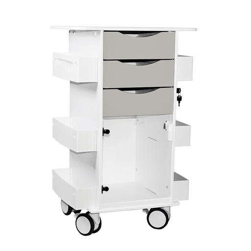 Core DX Cart with Hinged Door | TrippNT