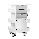 Core DX Cart with Hinged Door, Silver Metallic