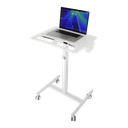 Height Adjustable Companion Cart