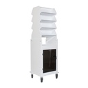 Tall Narrow Suture Medical Cart with Smoked Lockable Door