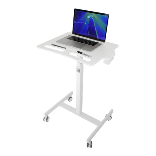 [53981] Height Adjustable Companion Cart